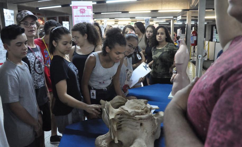 Tabela Periódica das Coisas A Tabela Periódica das Coisas